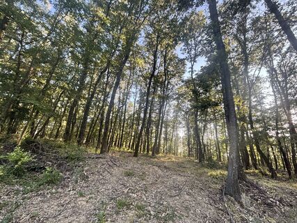 Fotografia z Várhelyi Alicia na trase