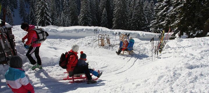 Rodeln von der Hochalm in Unken
