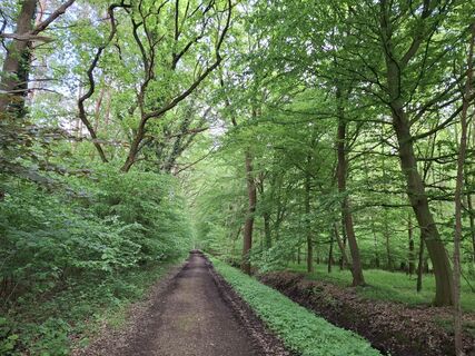Photo de nordbergschnecke le long du parcours