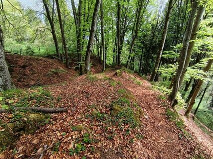 Fotografie z Luca Zagallo na trase