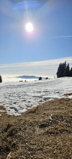 Foto fra Ingrid H undervejs på turen