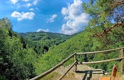 Eifelblick Perdsley