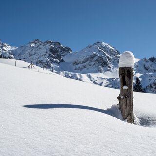 Wildental Panorama
