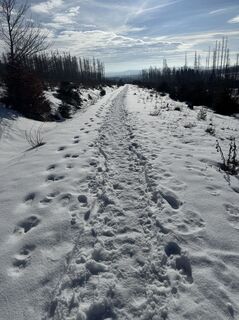 Foto de Ronald Bartel a lo largo del recorrido