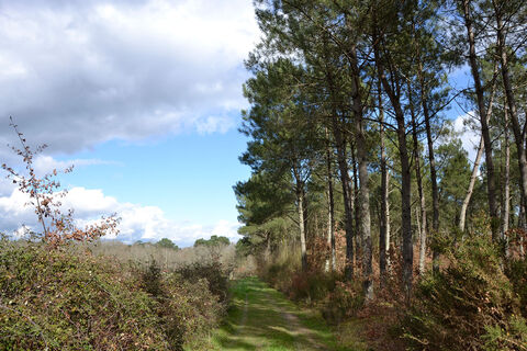 lande-boucle-terrebas-aillas