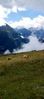 Foto von Ronny Genssler entlang der Tour