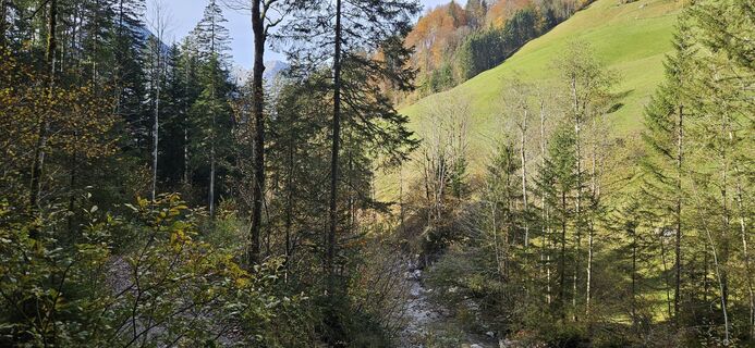 Photo de Berni_S le long du parcours