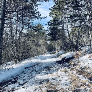 Foto de Bacskai János a lo largo del recorrido