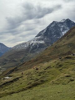 Fotografia z Gianluca Bucciantini na trase