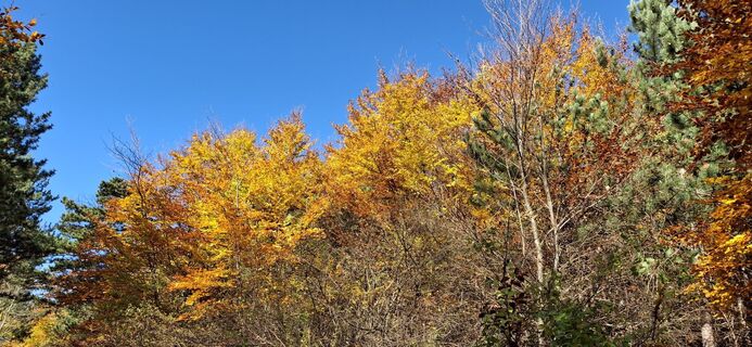 Fotó a Thomas Geier 2 honlapról a túra során
