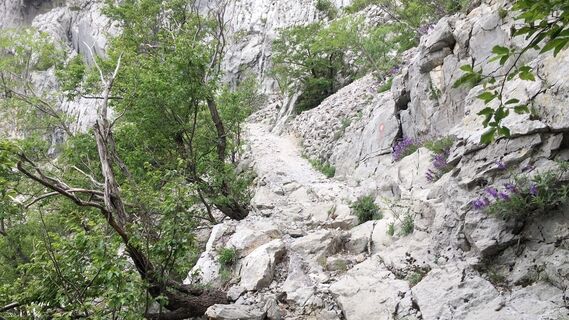 Foto de Lomalinda a lo largo del recorrido