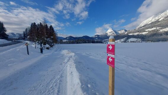 Winterwandern am Mitterberg - mit Ausblick zum Stoderzinken