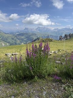 Foto von Jan Hofwegen entlang der Tour