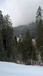 Foto von Ing Saša Djordjević MA entlang der Tour