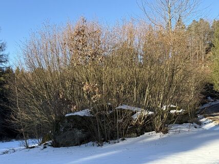 Foto von Florian Leopold Stonig entlang der Tour