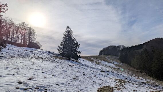 Zdjęcie z W.K. wzdłuż trasy