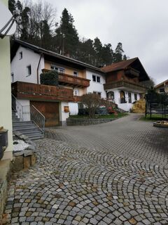 Foto von Waldläufer entlang der Tour