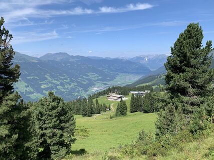 Photo de Koen De Wit le long du parcours
