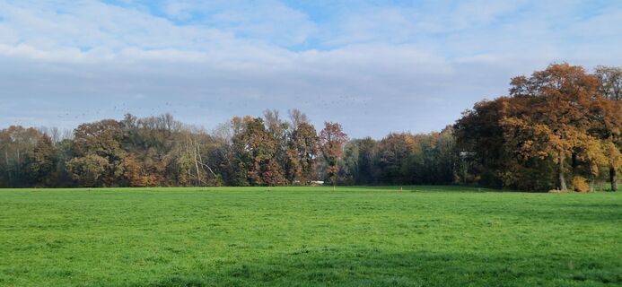 Fotografia z Reinier Sterkenburg na trase