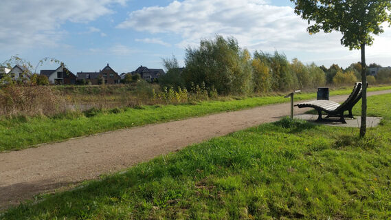 Sinnesliege an der Flachwasserzone Lüttinger Feld