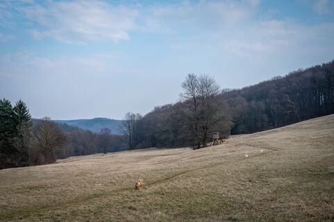 Foto von Ekhard Oberleitner entlang der Tour