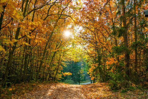 Herbststimmung am Bernsteinweg