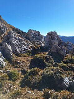 Fotografia z Dagmar Hofer na trase