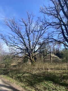Fotografie z Harald Köbler na trase