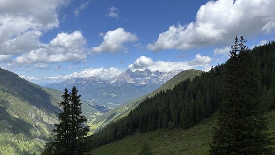 Photo de Franz Schibany le long du parcours