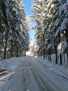 Foto de Dagmar Hofer a lo largo del recorrido