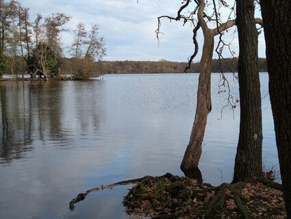 Fotografia z Matje Derks na trase