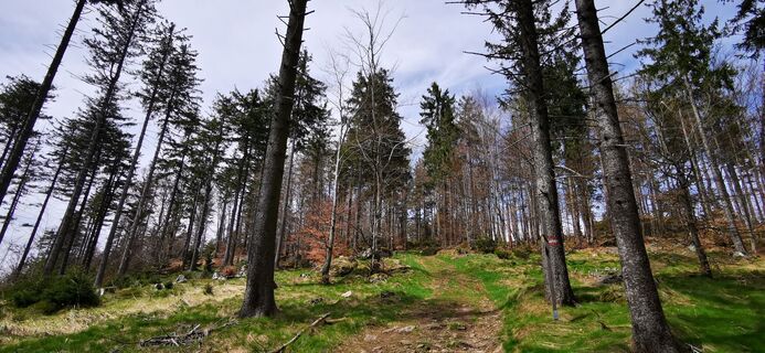 Fotó a Klaus Lehner honlapról a túra során