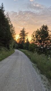 Foto de Afa a lo largo del recorrido