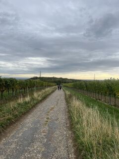 Photo de Diljaver Jusufi le long du parcours
