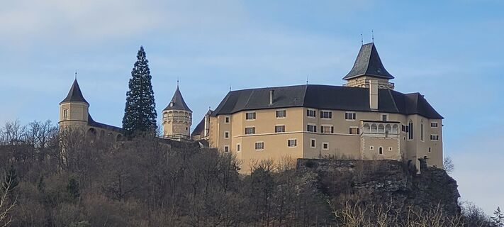 Fotografia z George50 na trase