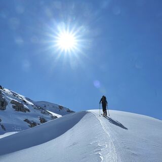 Gegen die Sonne