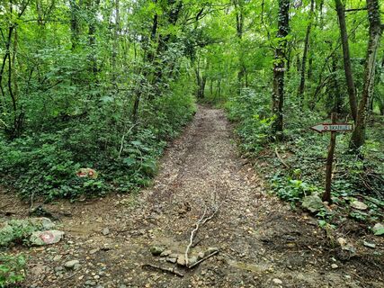 Fotografija s spletne strani Gregor Bizjak79 na poti