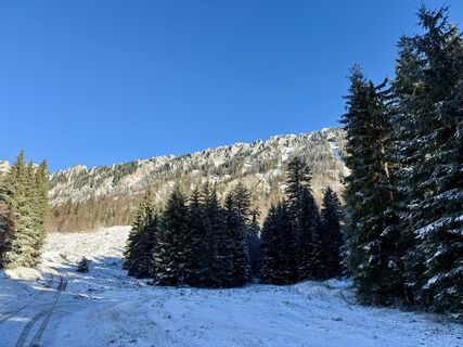 Photo de Natur_erleben_dg le long du parcours