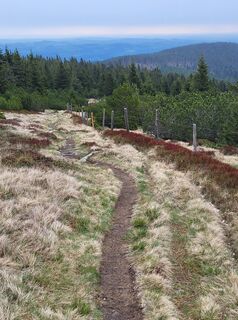 Foto fra Reinhard Pomper undervejs på turen