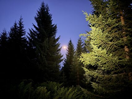 Fotografia z Natur_erleben_dg na trase