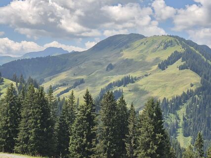 Foto de Jakob Krimbacher 1 a lo largo del recorrido