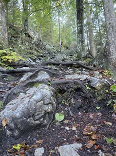 Zdjęcie z se_muck wzdłuż trasy