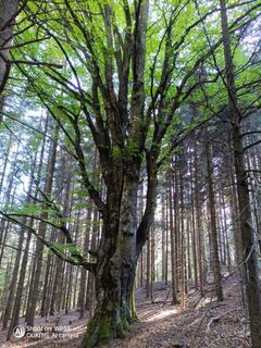 Foto von K2neverest entlang der Tour