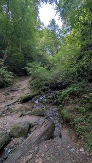 Kuva osoitteesta Jele Hannes matkan varrella