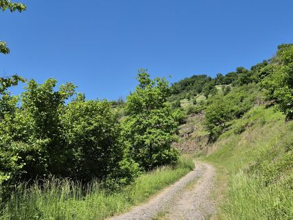 Zdjęcie z Frellie wzdłuż trasy