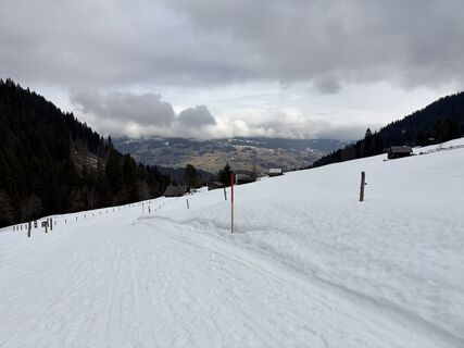 Foto von Ing Saša Djordjević MA entlang der Tour