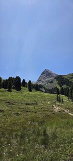Fotografija s spletne strani Rainer Kroschwald na poti