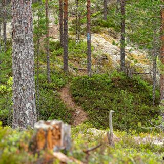 Lehmijoki-Naturpfad