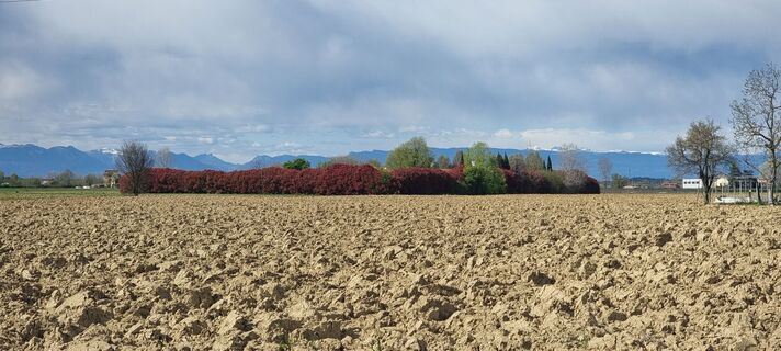 Fotografija s spletne strani Otto2 na poti