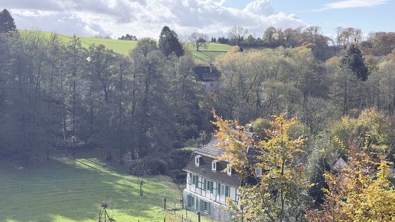 Photo de TIY le long du parcours